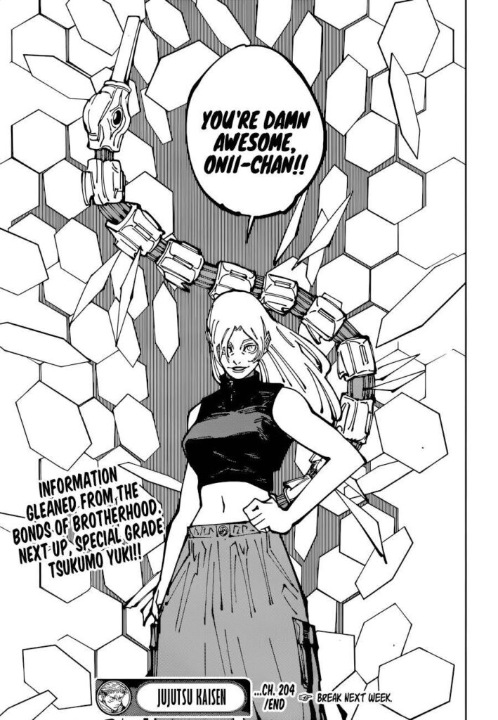 ✔   Jujutsu Kaisen, Chapter 204
