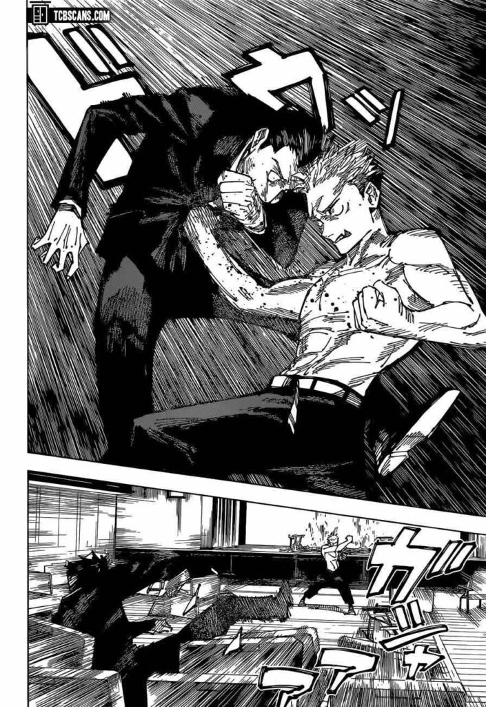 ✔   Jujutsu Kaisen, Chapter 166

