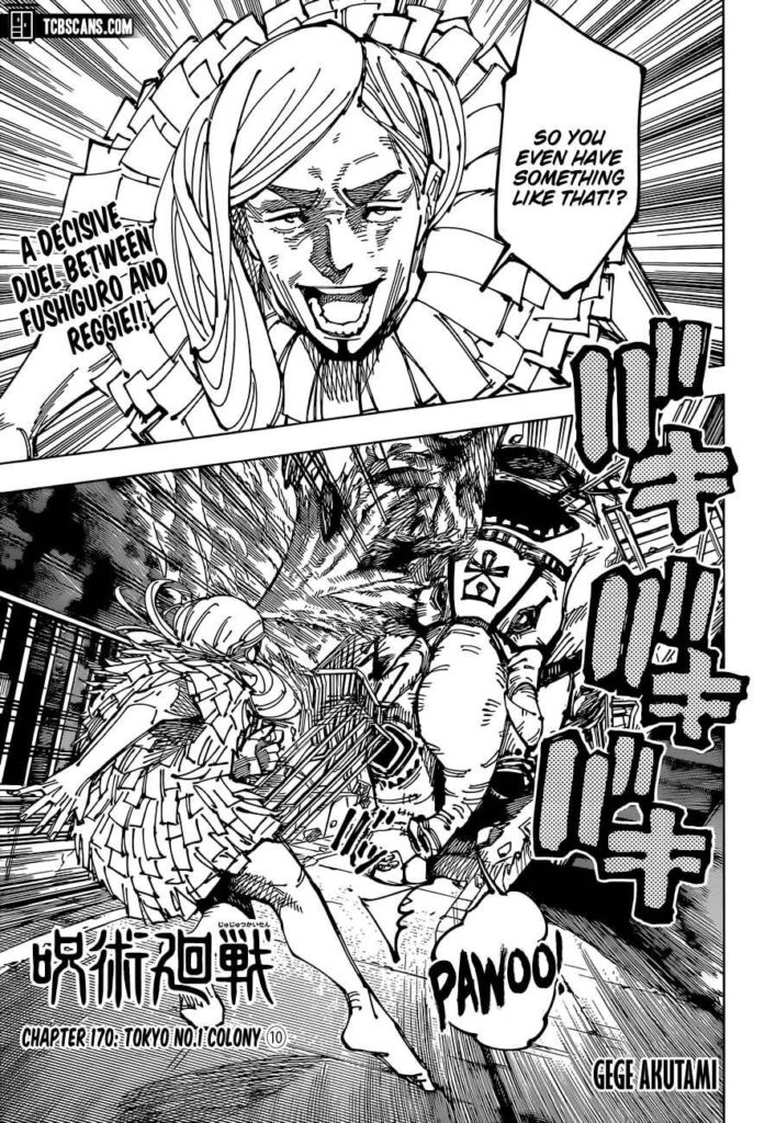 ✔   Jujutsu Kaisen, Chapter 170
