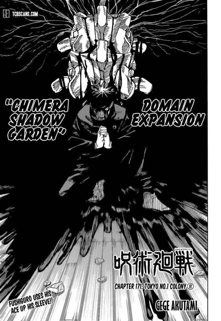 ✔   Jujutsu Kaisen, Chapter 171
