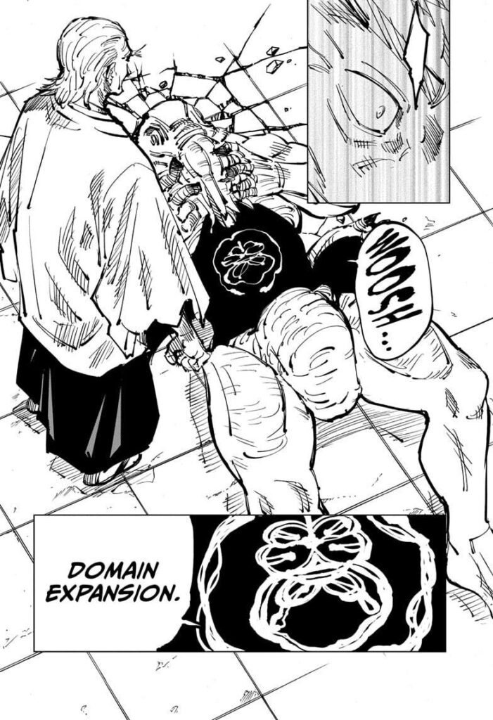 ✔   Jujutsu Kaisen, Chapter 107