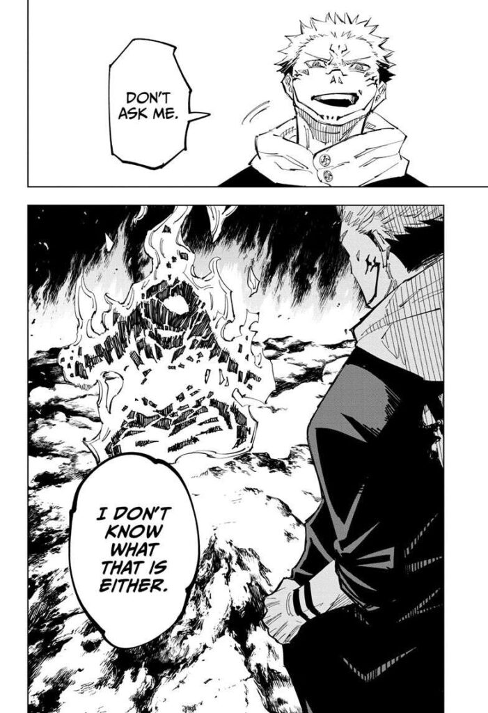 ✔   Jujutsu Kaisen, Chapter 116
