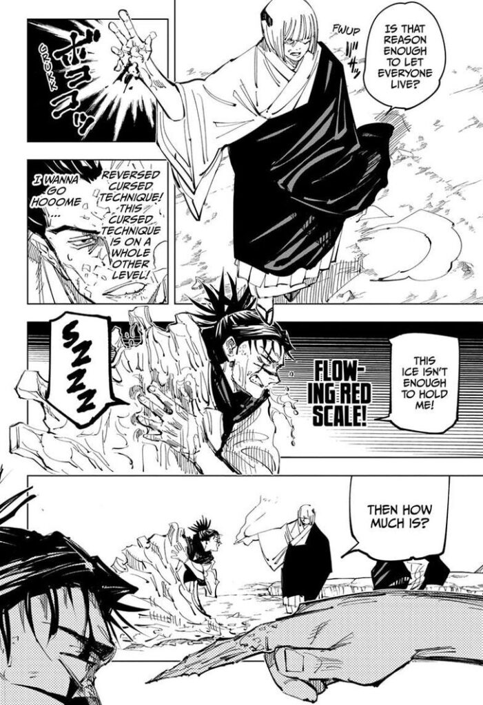 ✔   Jujutsu Kaisen, Chapter 135