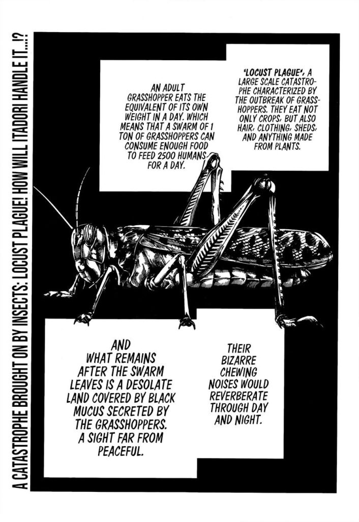 ✔   Jujutsu Kaisen, Chapter 87
